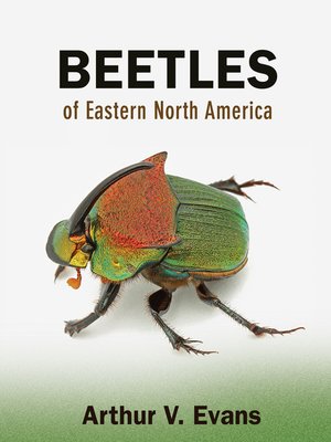 cover image of Beetles of Eastern North America